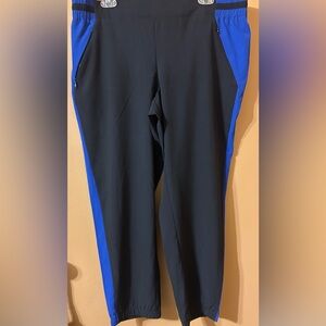 Fabletics exercise pants